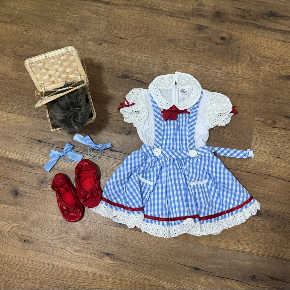 Dorothy Halloween Costume - Wizard of Oz